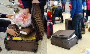 Cảnh báo: Không được cầm hộ đồ khi đi máy bay