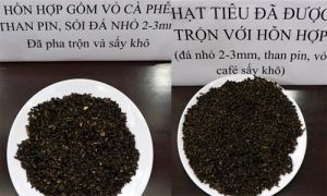 Việt Nam: Phế phẩm cà phê nhuộm bột pin được trộn vào hồ tiêu