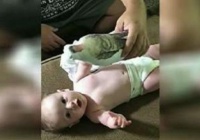 Phản ứng đáng yêu của bé khi nghe tiếng cha phát ra từ búp bê