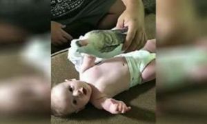 Phản ứng đáng yêu của bé khi nghe tiếng cha phát ra từ búp bê