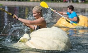 Vui nhộn cuộc thi chèo thuyền bí ngô tại Đức