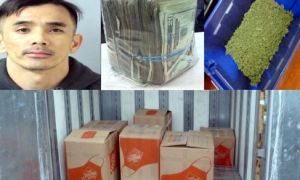 Cảnh sát Tennessee khám phá 445 pound cần sa của người Việt gởi từ California