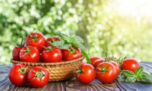 Quả cà chua: Bảo vệ tim mạch, chống ung thư