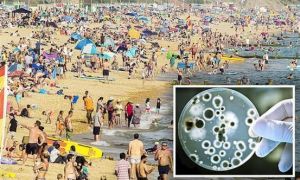 Gần 100 người đi bơi ở bãi biển bị nhiễm loại virus này: Lời cảnh báo dành cho...