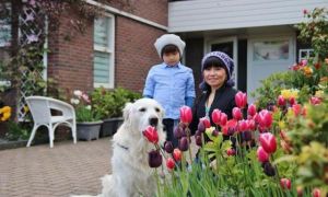 Ngắm khu vườn rực rỡ sắc hoa của mẹ Việt ở Hà Lan