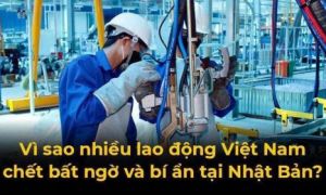 Thực tập sinh Việt Nam đến Nhật học tập và làm việc ngày càng đông, thế nhưng...