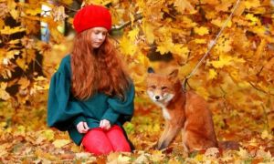 Nga: Rực rỡ mùa thu vàng tại công viên Kolomensk ở thủ đô Moskva