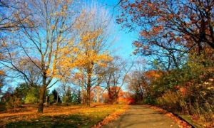 Du lịch Canada mùa thu - say lòng vẻ đẹp xứ sở lá phong