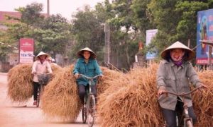 Nét độc đáo về chợ bán rơm ‘duy nhất’ tại miền quê nghèo Hà Tĩnh