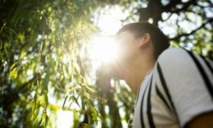 Thiếu niên Việt trồng cần sa ở Anh: Cây quý hơn mạng tôi