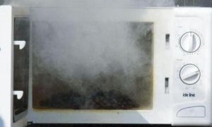 8 điều cấm kỵ khi dùng lò vi sóng nếu không muốn bị ngộ độc hay cháy nổ