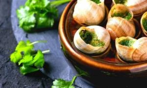 Ốc sên, món ăn ‘kinh dị’ ở Việt Nam nhưng là đặc sản của người Pháp sành ăn