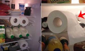 Chuyện gì xảy ra nếu đặt cuộn giấy vệ sinh vào ngăn mát tủ lạnh