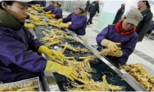 7 thực phẩm Trung Quốc được làm từ nhựa và chứa hóa chất gây ung thư mọi người...