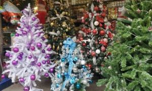 Cận Giáng sinh, cây thông Noel khổng lồ 