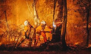 Người Việt ở Australia thấp thỏm trước nạn cháy rừng