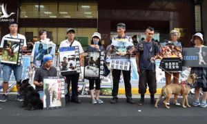 Giết và ăn thịt chó, nhóm người Việt bị phạt 770 triệu đồng ở Đài Loan