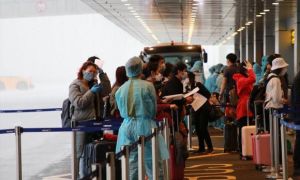 Thêm 133 người Việt từ Đức về, 52 người cách ly trả phí ở khách sạn