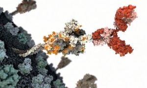 Covid-19: Các nhà khoa học Đức phát hiện kháng thể ngăn chặn SARS-CoV-2