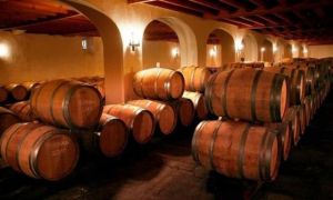 Hàng triệu lít rượu vang Pháp biến thành nước rửa tay