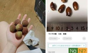 Shop online tại Nhật rao bán cả hạt vải với giá cao