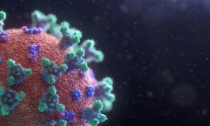 Virus lây nhiễm gấp 10 lần chủng ở Vũ Hán phát tán mạnh tại Châu Á