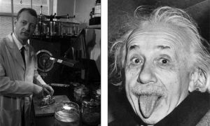 Chuyện ly kỳ về bộ não bị đánh cắp của thiên tài Einstein