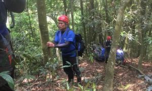 Đài Loan:Tìm thấy thi thể người Việt mất tích khi đi hái nấm