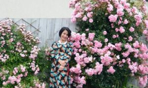 Ngỡ ngàng khu vườn đẹp như mơ của mẹ Việt tại Úc