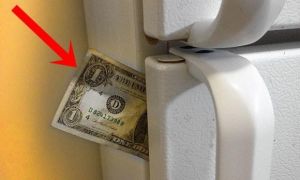 Chỉ cần nhét một tờ giấy vào khe cửa tủ lạnh, bạn có thể tiết kiệm tiền điện...