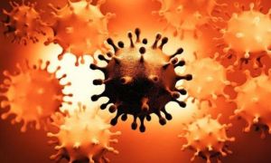 Nóng: Hai biến thể COVID-19 hợp nhất thành một virus lai đột biến nặng - Lo...