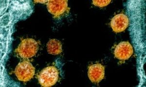 Vì sao biến chủng của virus SARS-CoV-2 xuất hiện ngày càng nhiều và nguy hiểm...