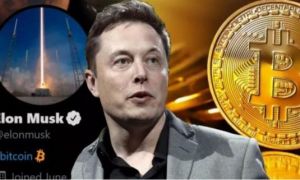 Elon Musk viết 8 chữ, Bitcoin lập tức quay đầu tăng điểm thần kỳ
