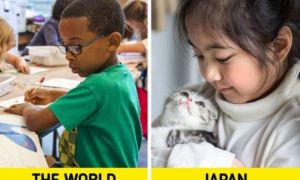 6 bí mật giúp hệ thống giáo dục Nhật Bản hiệu quả nhất thế giới