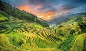 Hãng tin Đức DPA giới thiệu một số điểm du lịch đặc sắc ở Việt Nam