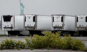 750 thi thể chất trong xe tải ở New York suốt một năm