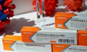 WHO phê duyệt vaccine Sinovac của Trung Quốc