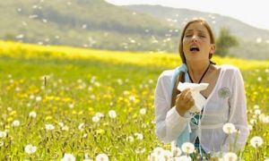 Liệu pháp miễn dịch trị viêm mũi dị ứng do phấn hoa