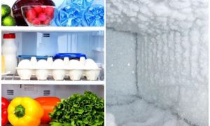 Cho dù tuyết trong tủ lạnh dày đến đâu, nếu bạn áp dụng cách này, tuyết sẽ tự...