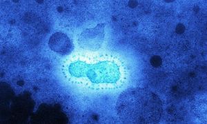 Phát hiện mới về đại dịch do virus corona tấn công 20.000 năm trước
