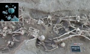 Tìm thấy chủng vi khuẩn 5.000 tuổi gây 'Cái chết đen' tại châu Âu