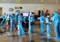 Vietnam Airlines cảnh báo lừa đảo hành khách mua vé về Việt Nam