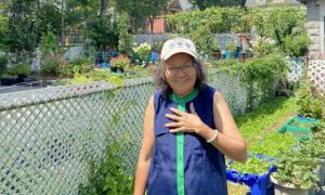 Gia đình Việt ở Mỹ vượt Covid-19 nhờ vườn rau tự trồng