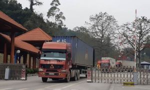 Trung Quốc ngưng nhập trái cây Việt trong khi đưa đều đặn 400 xe/ngày sang...