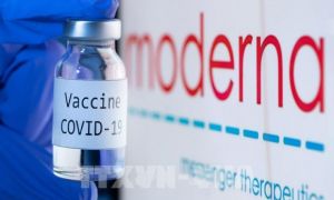 Moderna phát triển vaccine kết hợp ngừa Covid-19 và cúm mùa