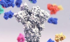 Phát hiện siêu kháng thể vô hiệu hóa tất cả biến thể SARS-CoV-2