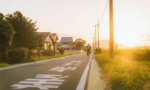 Vẻ thanh bình của vùng đồng quê Nhật Bản