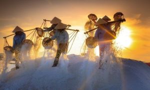 Ngỡ ngàng với vẻ đẹp tráng lệ của những cánh đồng muối ở Ninh Thuận