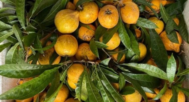Siêu thực phẩm Amazon bán 1,5 triệu/kg, chợ Việt chỉ 15.000 đồng