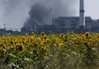 Chiến sự Ukraine khiến châu Âu căng thẳng chuyện dầu ăn